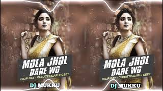 Mola jhol Dare O  Dilip Ray  Cg Song Dj  Dj Mukku X Dj Ut Remix  2K24✓ [upl. by Eelyram]