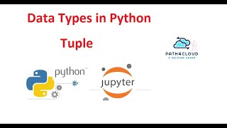 8 Tuple Datatypes [upl. by Seel568]