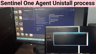 How to remove SentinelOne Agent through the Windows safe mode Day1 [upl. by Atteinotna]