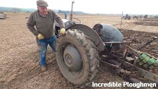 1955 Ferguson TED20 21 LItre 4Cyl Petrol TVO Tractor 26 HP Southwell [upl. by Oscar]