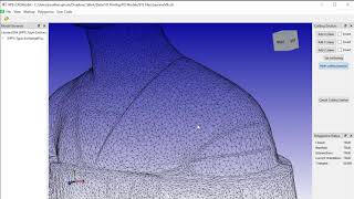 Polygonica Remeshing [upl. by Gar]