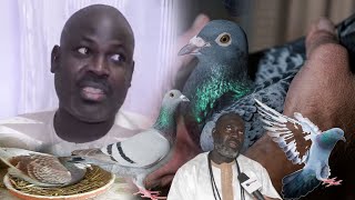 EL HADJI MALICK GUEYE PAR KÉEM TAAN GI YALLA DÉF CI quotPIGEON🕊️🕊️VOYAGEURquot AK KAN MOOKO WARA YAR [upl. by Giovanni529]