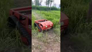 Lawn cutter weed removal remote control lawn mower weed killer lawn mower [upl. by Nnairret]