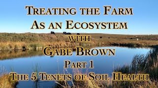 Treating the Farm as an Ecosystem with Gabe Brown Part 1 The 5 Tenets of Soil Health [upl. by Trev]