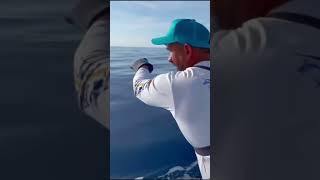 Pesca de Wahoo Enorme fishing pescaycocina pesca wahoofishing wahoo [upl. by Killigrew]