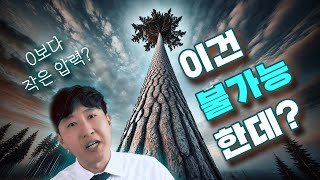 나무가 물리학을 파괴할까요 음압 해명합니다 [upl. by Michael]