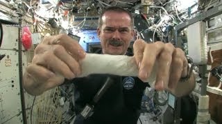 Tücken der Schwerelosigkeit Die WeltallTricks des BowieAstronauten Chris Hadfield [upl. by Euqinad]