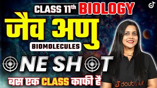 जैवअणु ONE SHOT Class 11 Biology ➡️ Biomolecules One Shot in Hindi  JaivAnu  Vijaita Mam [upl. by Gurango154]