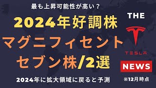 【テスラ株】2024年好調株マグニフィセントセブン株2選最も上昇可能性が高い？2024年に拡大領域に戻ると予測 [upl. by Aizirtap85]