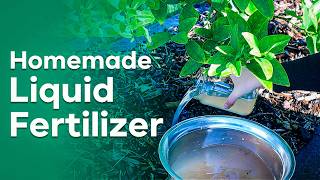 5 Easy Homemade Liquid Fertilizers from Kitchen Waste  DIY Liquid Fertilizers from Kitchen Waste [upl. by Cornel]