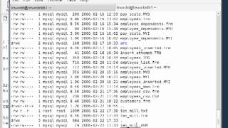 42 Mysql Database Engine Archive [upl. by Lonnard]