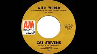 Cat Stevens  Wild World  Chords amp Lyrics [upl. by Bud]