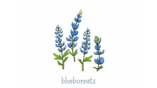 bluebonnets by MAYKER Original Song [upl. by Ping983]