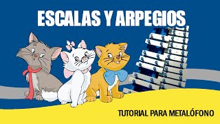 TUTORIAL DE ESCALAS Y ARPEGIOS  Película Arístogatos de Disney  Metalófono y Xilófono [upl. by Yila]