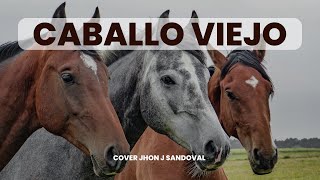 CABALLO VIEJO autor Roberto torres cover JJ Letra [upl. by Martella]