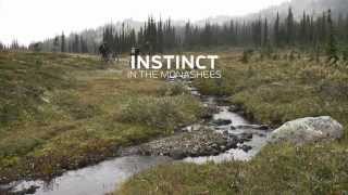 Alpine Mountain Bike Adventure — Instinct in the Monashees [upl. by Adaven]