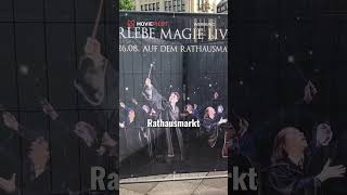 shorts Der Harry Potter Weltrekord in Hamburg [upl. by Atteuqal]