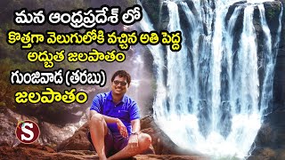 Tarabu GunjivadaPittalaborra Waterfalls తరబు గుంజివాడపిట్టలబొర్ర జలపాతం  Tour with sadan [upl. by Giddings]