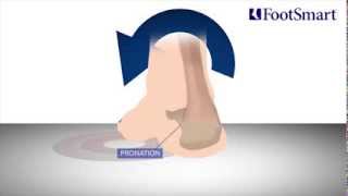 What is Pronation [upl. by Rheinlander]