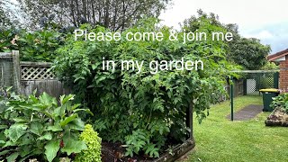 Please come amp join me in my garden live livestream garden backyardgarden vegetablegarden shots [upl. by Halstead726]