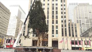 Rockefeller Center Christmas Tree Installation [upl. by Yunfei]