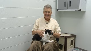 PAULS PETS quotWhoopie Piequot the cat up for adoption at the Humane Educational Society in Chattanooga [upl. by Navada443]