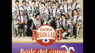 Te dije hola Banda Degollado [upl. by Oidiple]