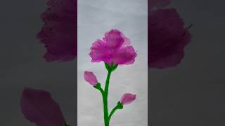 easy flower drawing 😀 youtubesorts art painting artwork [upl. by Icart533]