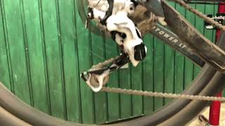 Degreasing a chain in 60 seconds [upl. by Sutherland159]