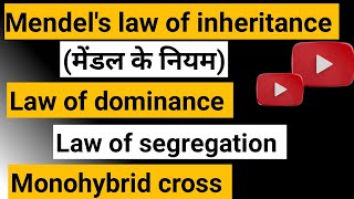 Mendels law of inheritance ।। law of dominance ।। law of segregation [upl. by Akinet634]