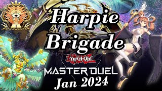 MASTER TIER 1 Harpie TriBrigade Deck Profile  YuGiOh Master Duel January 2024 [upl. by Tnomyar]