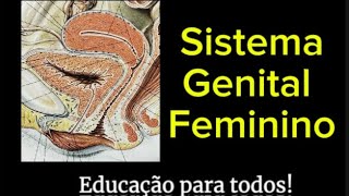 Sistema Genital Feminino aula saude foryou anatomia [upl. by Nador964]