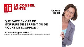 Que faire en cas de morsure de serpent ou piqûre de scorpion [upl. by Annohsat549]