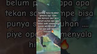 sandiwara cinta fypシ゚viral subscribe [upl. by Nyledam309]