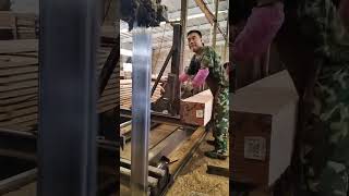 Sawing the bark of natural pine wood to get the finished wood block wood process woodcutting [upl. by Mord90]