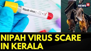 Nipah Virus  Nipah Virus In India  Nipah Virus Scare Continues To Grow In Kerala  English News [upl. by Allan178]