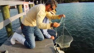 How to Catch Blue Crabs [upl. by Segal]