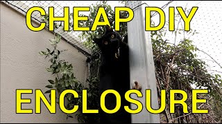 How to Build a Massive and Cheap Cat Enclosure with Basic Tools  DIY Tutorial [upl. by Mailliwnhoj]