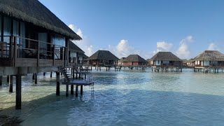 Club Med Kani Maldives resort review room tour [upl. by Nahguav648]