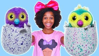 NEW HATCHIMALS TOY with Shiloh and Shasha  Onyx Kids [upl. by Spiro]