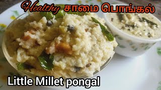 சாமை பொங்கல்  Little Millet pongal recipe in Tamil  Samai pongal  Millet ven pongal  ON TIME PY [upl. by Mcculloch640]