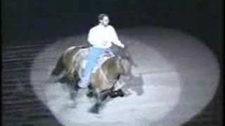 Freestyle Reining Bridleless [upl. by Atiluap]