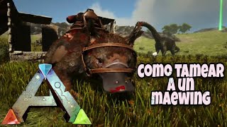 COMO DOMESTICAR A UN MAEWING EN LOST ISLAND  ARK SURVIVAL LOST ISLAND [upl. by Nivrac]