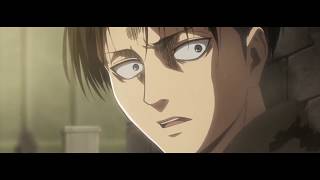 LEVI Sippin tea in yo hood AMV [upl. by Elboa]