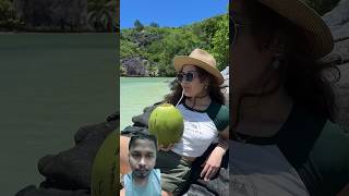 This is a regular COCONUT camping survival bushcraft outdoors [upl. by Halihs]