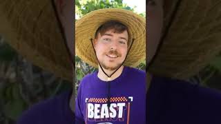 QUEM É O DUBLADOR DO MR BEAST BRASIL [upl. by Pearle]