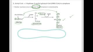 516 Understand not memorize metabolism Postprandial Cholesterol synthesis [upl. by Jenda]