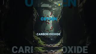 Carbon dioxide in CavessCo2🤨🤔Telugu facts 💥💥shots facts amazingsfacts youtube viral [upl. by Wildermuth]