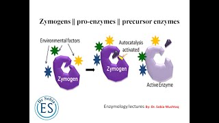 zymogens  proenzymes  precursor enzymes  enzymology lecture 05  educational scholar [upl. by Anih]