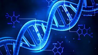 DNA  What is DNA  Basics of DNA [upl. by Teik]